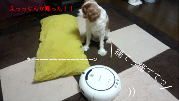 78d71bb0.jpg