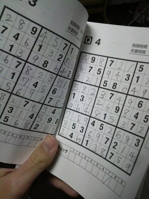 P1002169 (2)