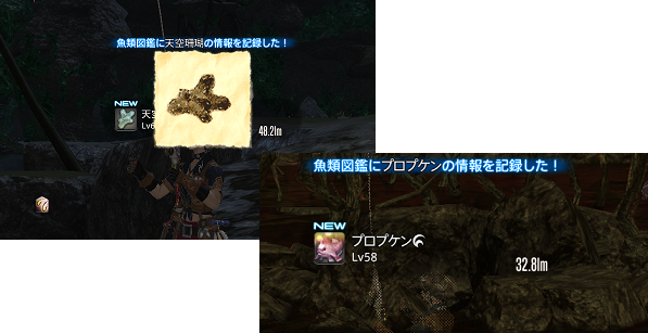 魚類伝承録 アバラシア Lost Hollow In Eorzea