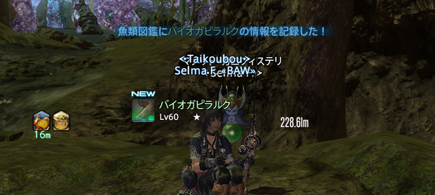 lost hollow in eorzea