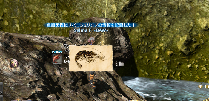 パッチ3 55a 追加の魚一覧 Lost Hollow In Eorzea パッチ3 55a 追加の魚一覧 Lost Hollow In Eorzea