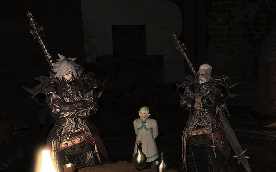 Lost Hollow In Eorzea タンク