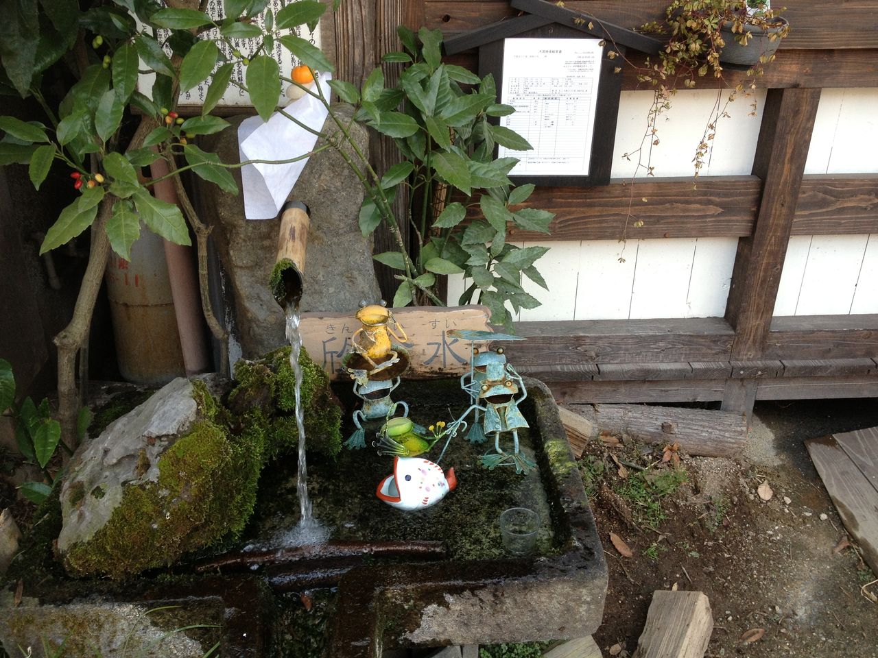 故郷大阿蘇巡礼記7-欣命水、菓恋水、酒杜水-(河童日本紀行86) : ニヤッとする話