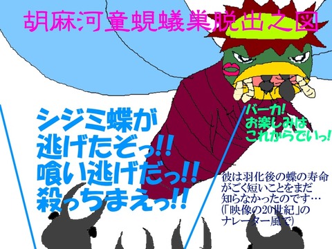 ゴマシジミの脱出劇