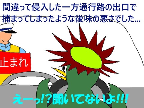税関で没収