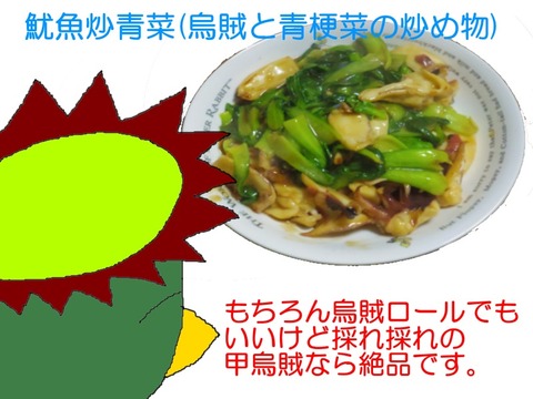 烏賊と青梗菜の炒め物