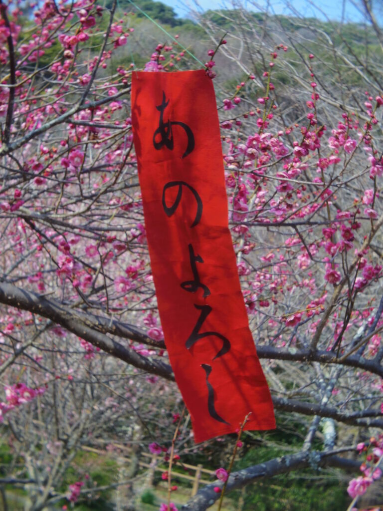 リアル写真で花札を作る4 梅に赤短 暫定 それでも生きてゆく私278 ニヤッとする話