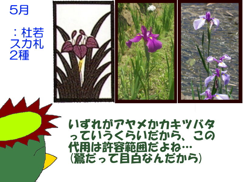 リアル写真で花札を作る15 いずれが菖蒲か杜若 それでも生きてゆく私2 ニヤッとする話