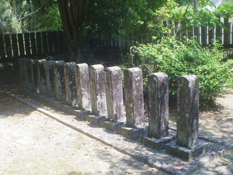 IMGP0686