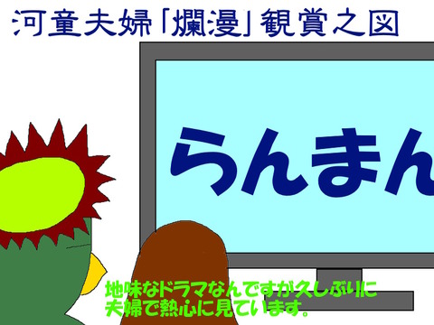 らんまんを見る