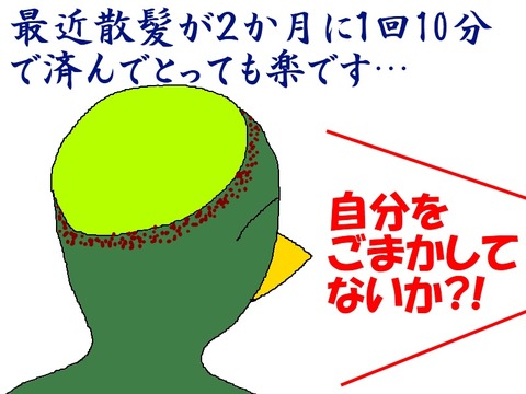 自己欺瞞