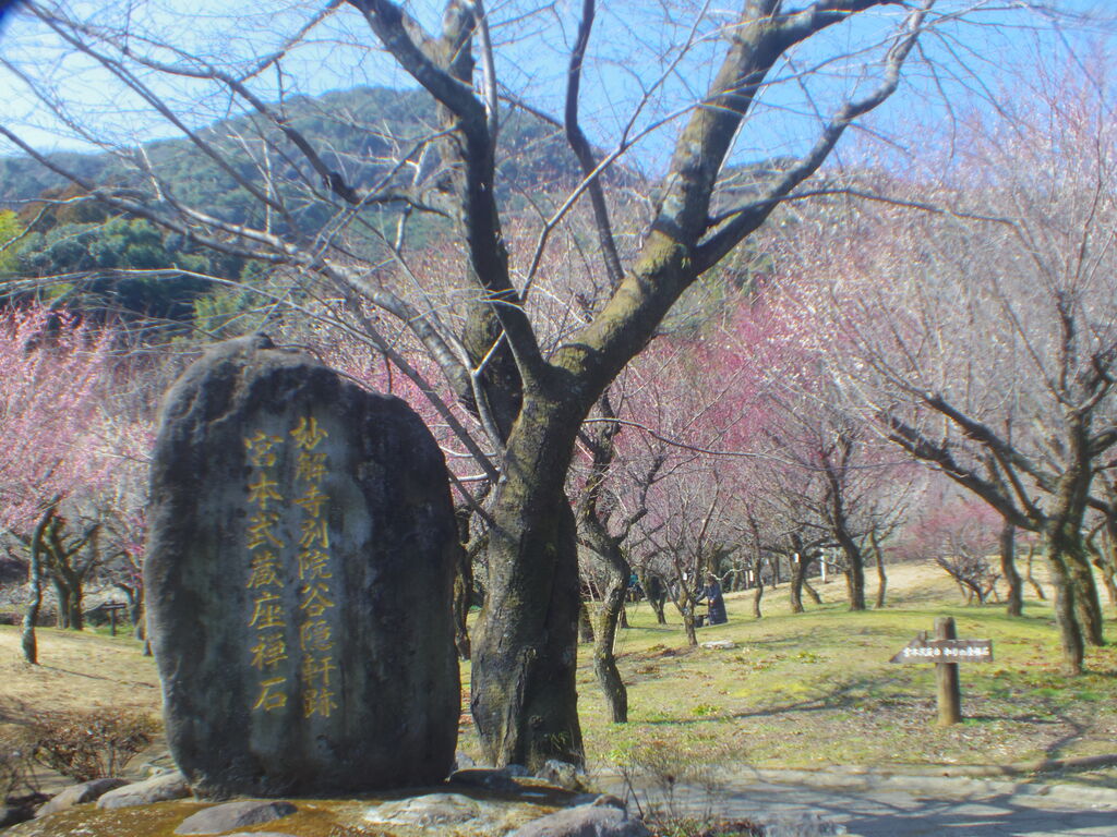 リアル写真で花札を作る4 梅に赤短 暫定 それでも生きてゆく私278 ニヤッとする話