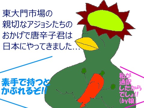 唐辛子ついに来日