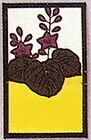 桐スカ黄色