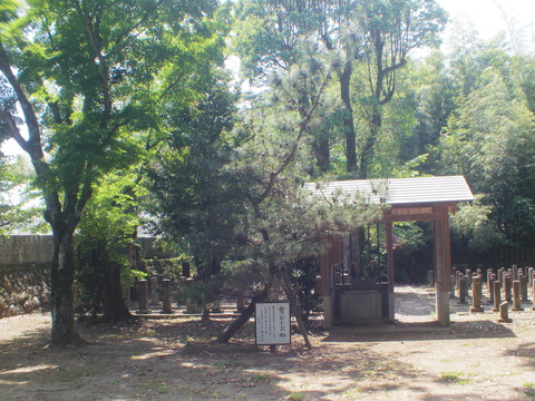 IMGP0685