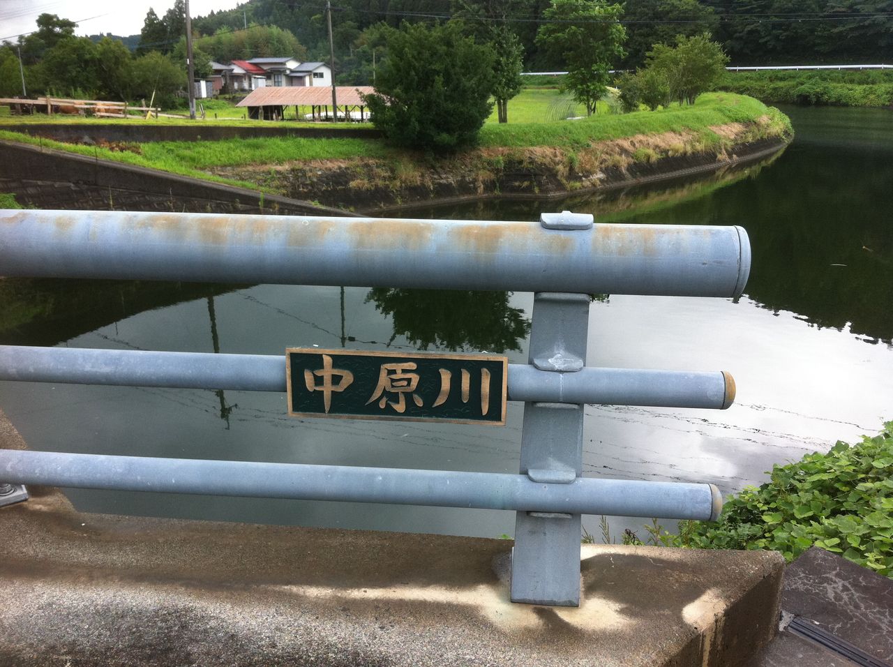 夢か現か中原川のニジマス Good Old Days39 ニヤッとする話