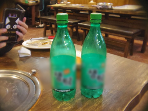 IMGP3683t