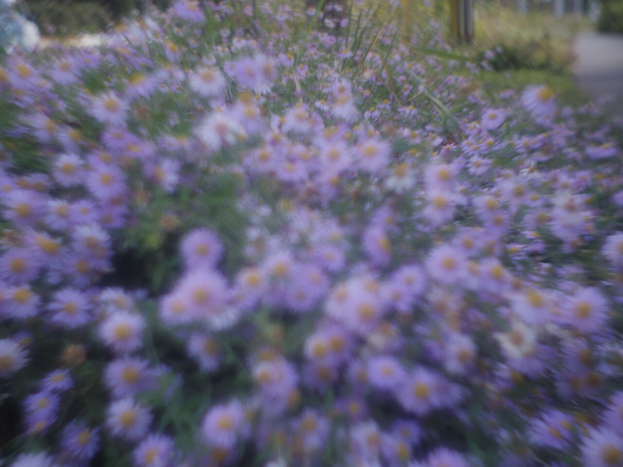 カメラ河童のシネレンズ図鑑3-Zunow-Elmo Cine13mm F1.1 D 改訂-(愛す