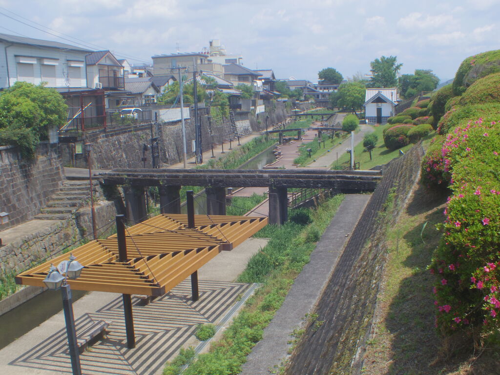 リアル写真で花札を作る15 いずれが菖蒲か杜若 それでも生きてゆく私2 ニヤッとする話