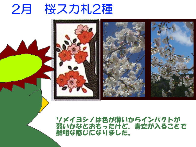 リアル写真で花札を作る7 さあ次は桜 それでも生きてゆく私281 ニヤッとする話