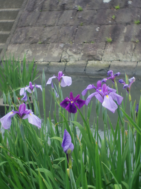 IMGP0702