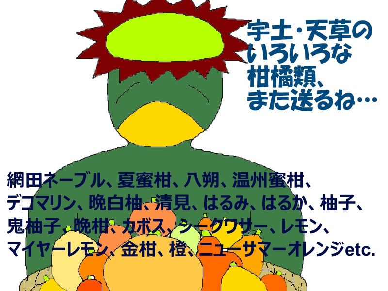 熊本へ行こう85 Jr三角線で行く三角西港リメイク10 赤瀬 河童日本紀行556 ニヤッとする話