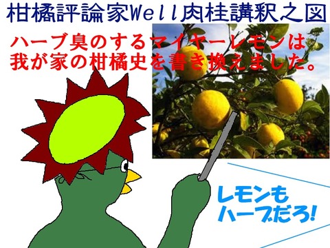 マイヤーレモン革命