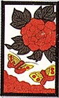 牡丹に蝶