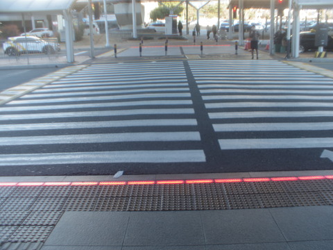 IMGP7990