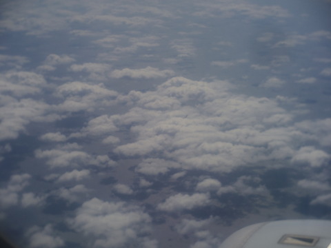 IMGP2917