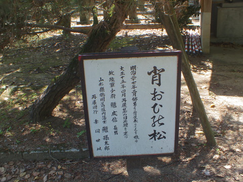 IMGP0684