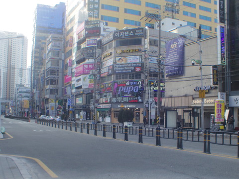 IMGP8288
