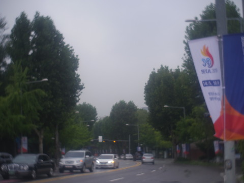 IMGP2493
