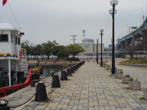 IMGP3620