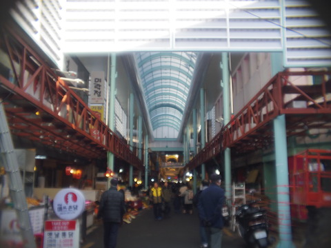 IMGP3828