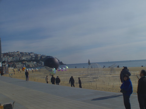IMGP8121