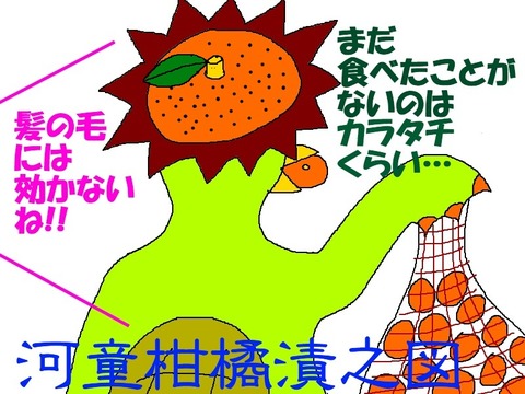 河童柑橘漬