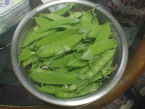 IMGP8826