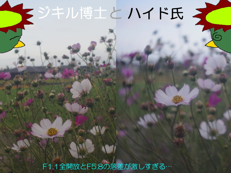 カメラ河童のシネレンズ図鑑3-Zunow-Elmo Cine13mm F1.1 D 改訂 カメラ河童のシネレンズ図鑑3-Zunow-Elmo Cine13mm F1.1 D 改訂