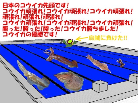 ããµã­