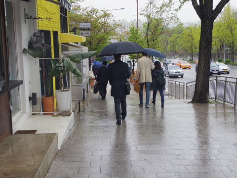 IMGP8689