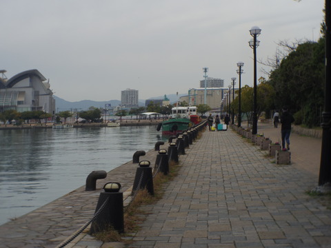 IMGP3622