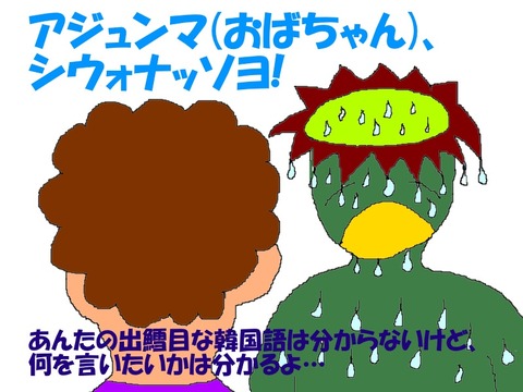 本当はシウォナダー