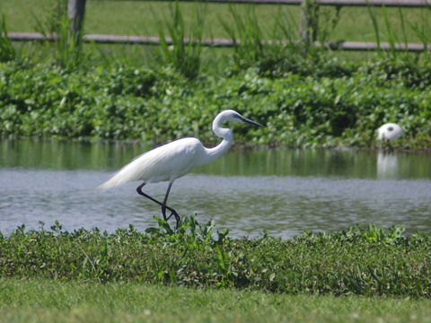 IMGP0789
