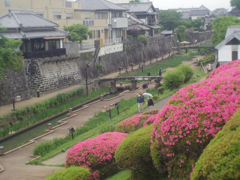 IMGP0712