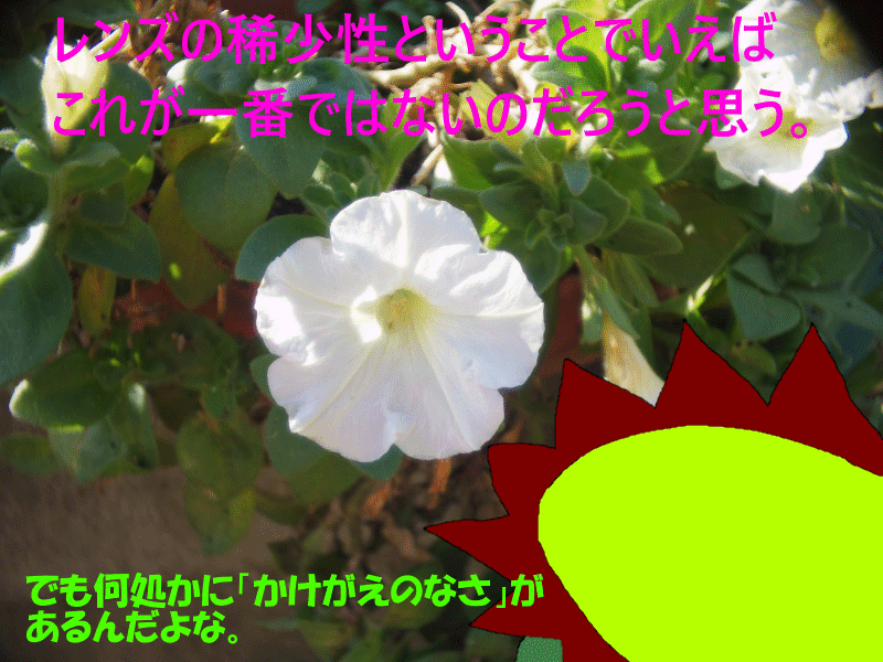 カメラ河童のシネレンズ図鑑28-WIDE ZUNOW-CINE 6.5mm F1.9 D-(愛す