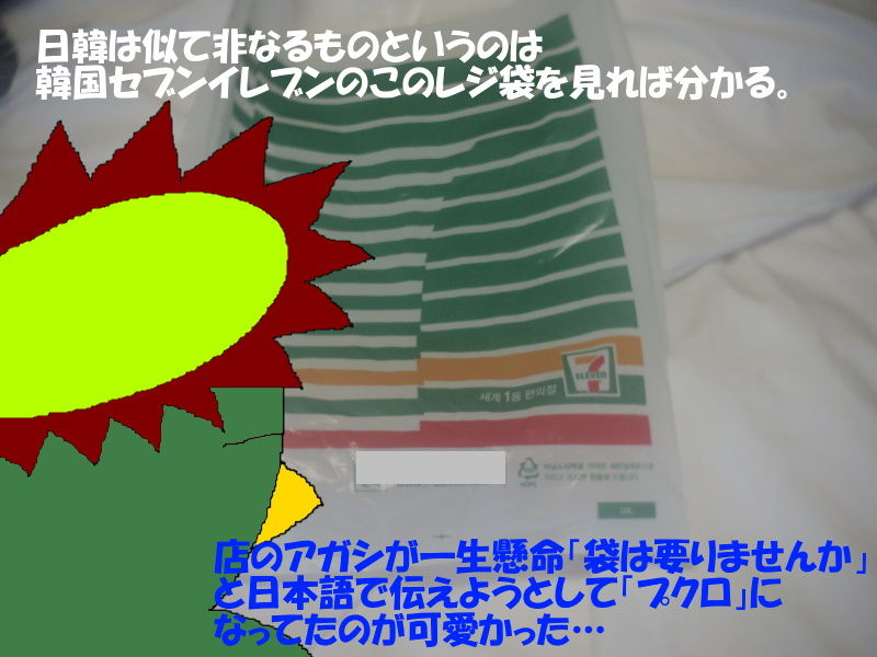 最悪の日韓関係 の中 韓国の中枢に行く ただし買い物旅行22 韓国雑感ソウル編4 河童亜細亜紀行0 ニヤッとする話