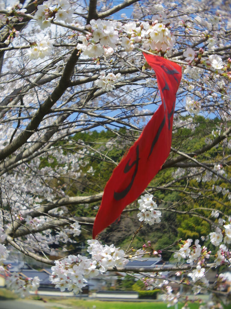 リアル写真で花札を作る8 困難を極めた桜に赤短 それでも生きてゆく私2 ニヤッとする話