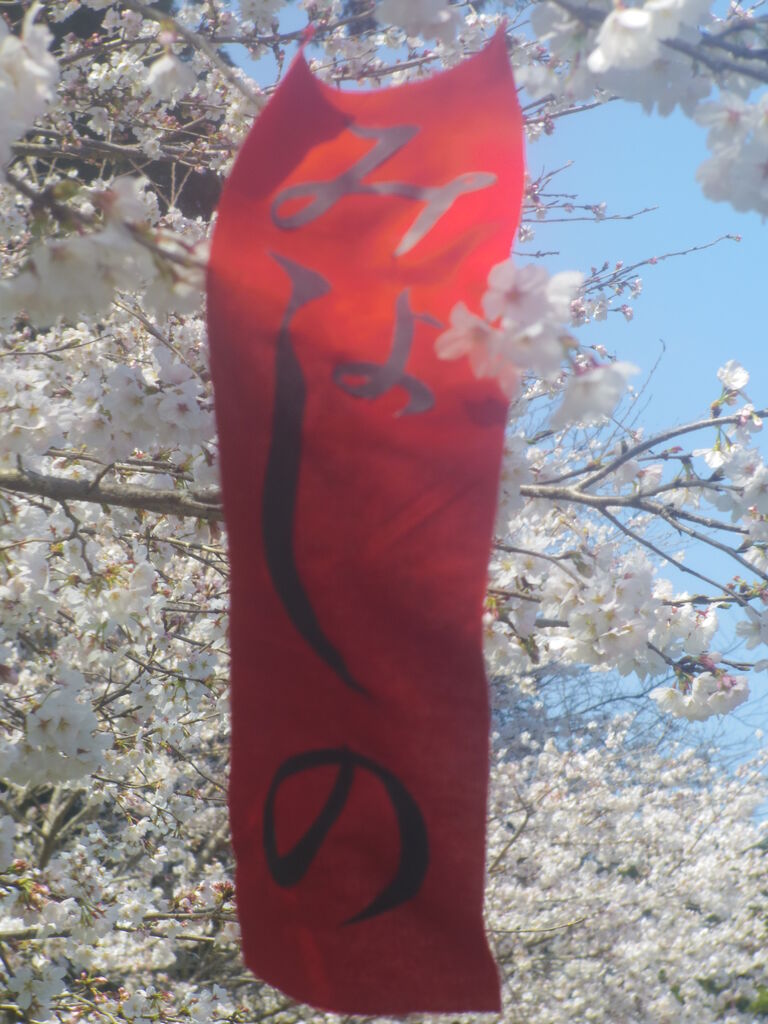 リアル写真で花札を作る8 困難を極めた桜に赤短 それでも生きてゆく私2 ニヤッとする話