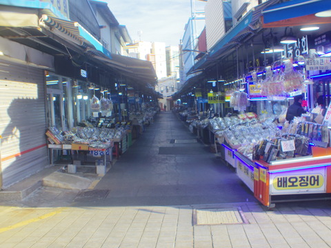 IMGP8248